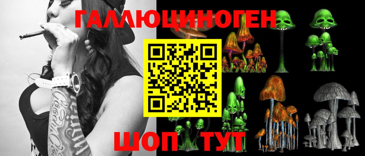 Северобайкальск  Галлюциногенные грибы MAGIC MUSHROOMS  Галлюциногенные грибы прущие грибы  Вход с VPN 